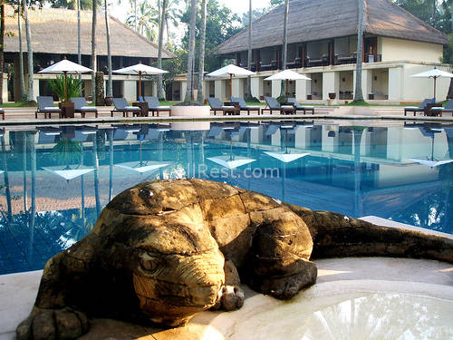ALiLa Manggis boutique 96